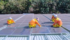 Sustainability and Profit Go Hand-in-Hand