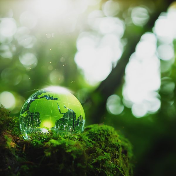 Environmental, Social, Governance