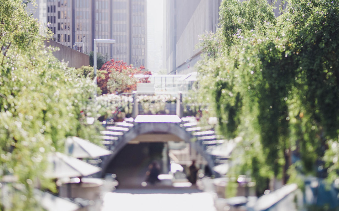 Genashtim On ABS CBN Show