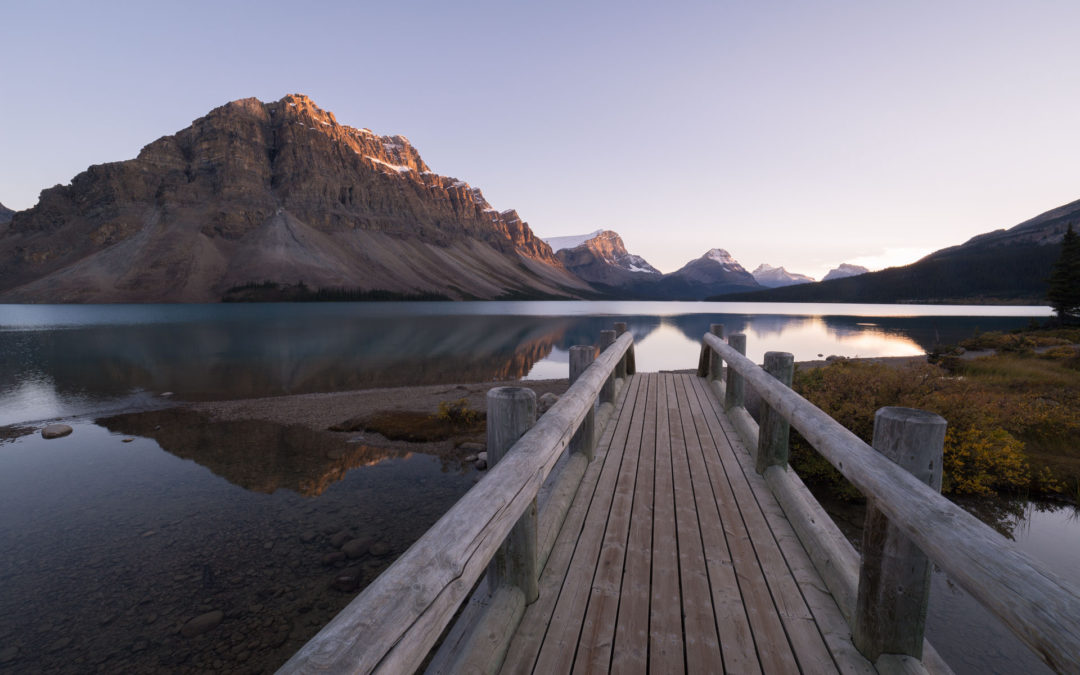 Thomas Joins First Virtual Global Leadership Summit’s Panel